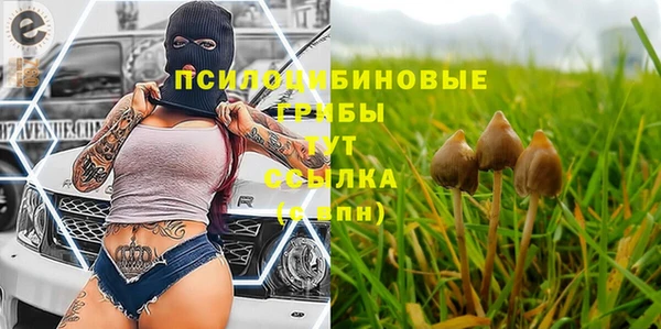 ALPHA PVP Волосово