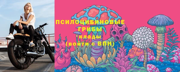 spice Володарск