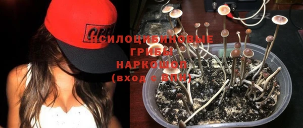 spice Володарск