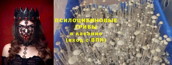 spice Володарск