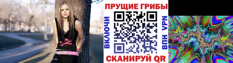 Галлюциногенные грибы GOLDEN TEACHER  сколько стоит  мега сайт  Назрань 